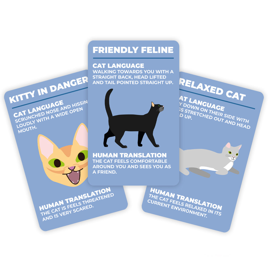 How to Speak Cat Cards