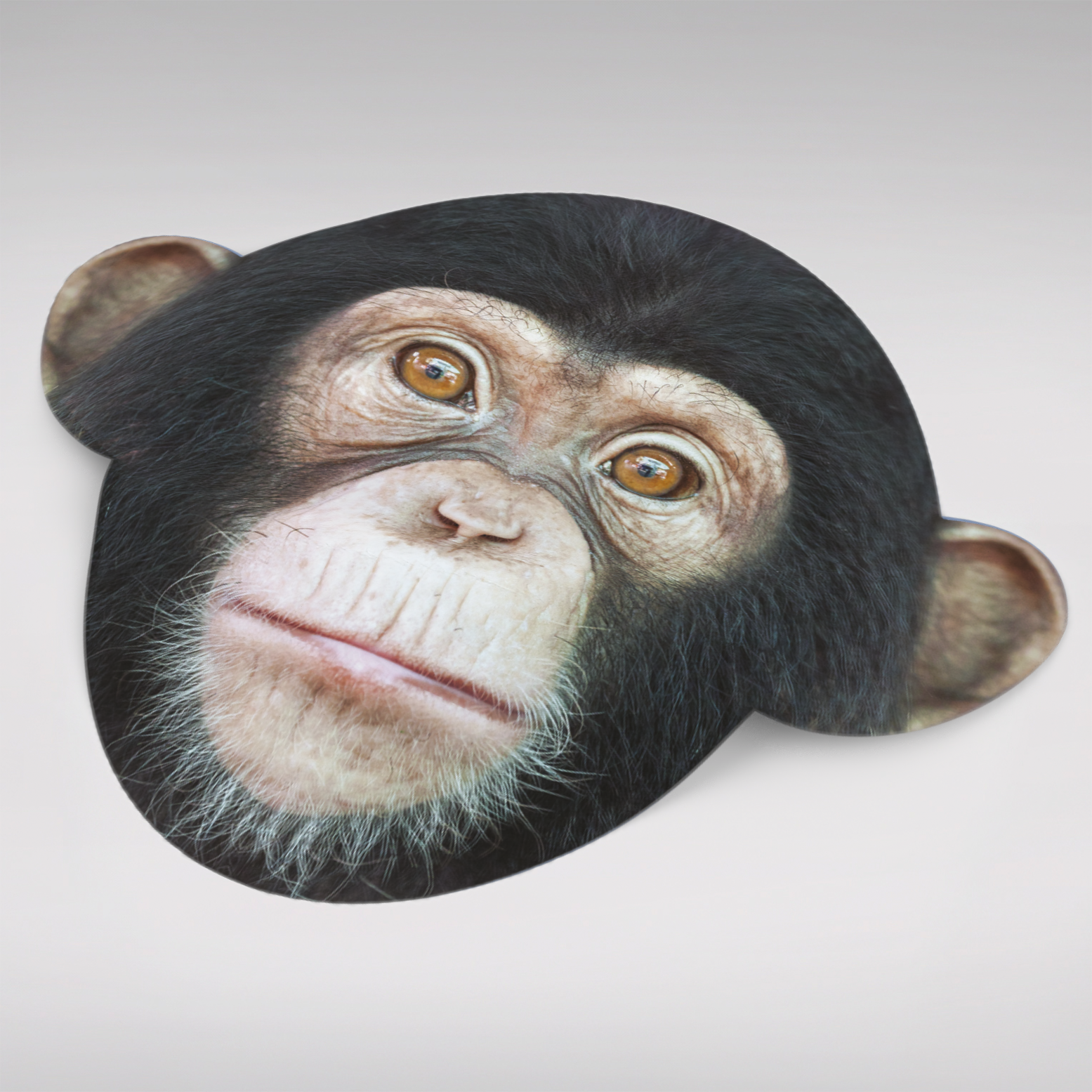 Lens Cleaning Cloth - Monkey