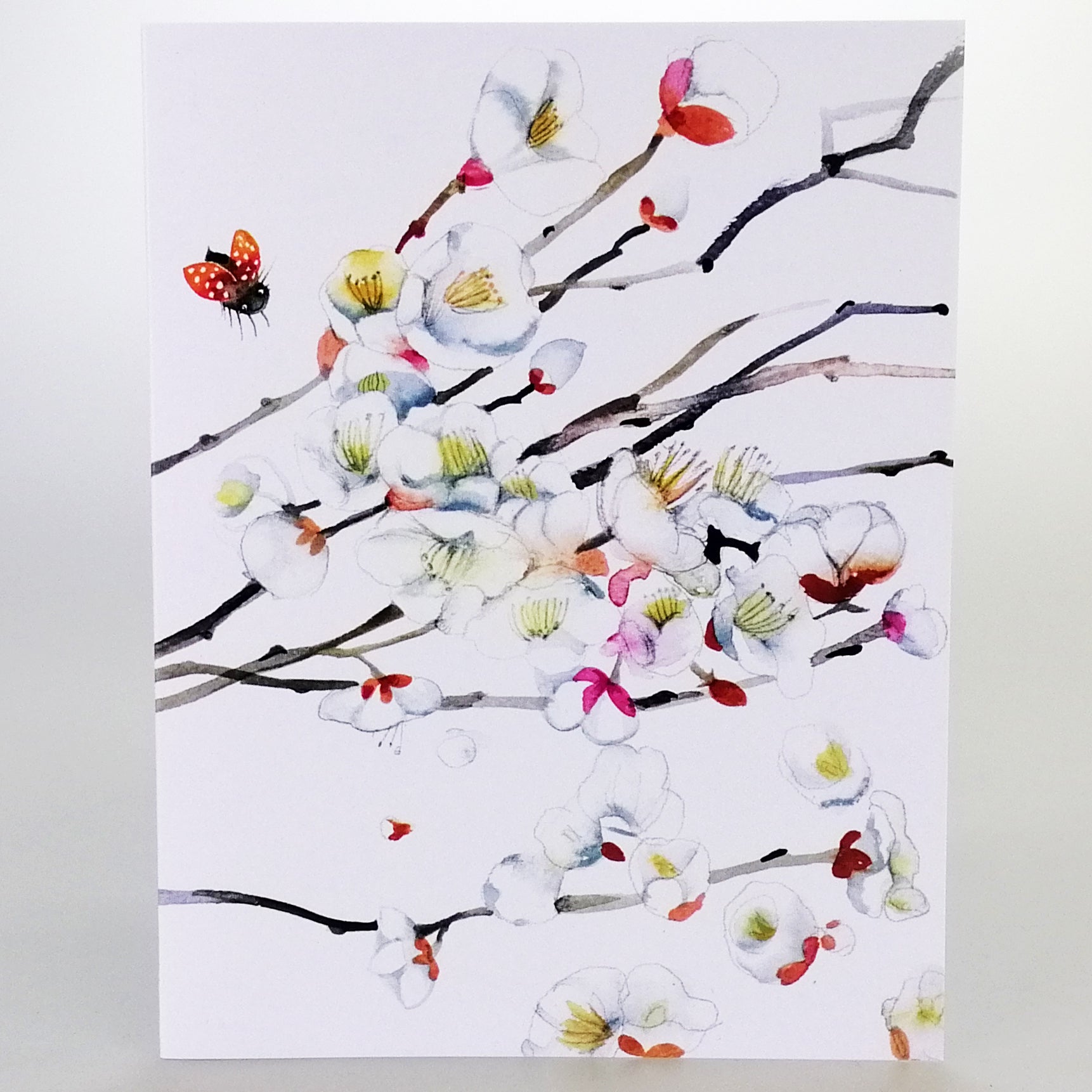 Ladybird & Cherry Blossom Card