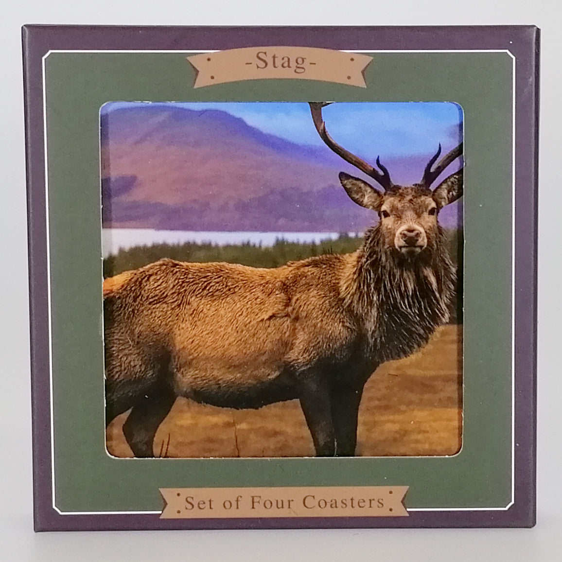 Stag - Coasters - Set of 4