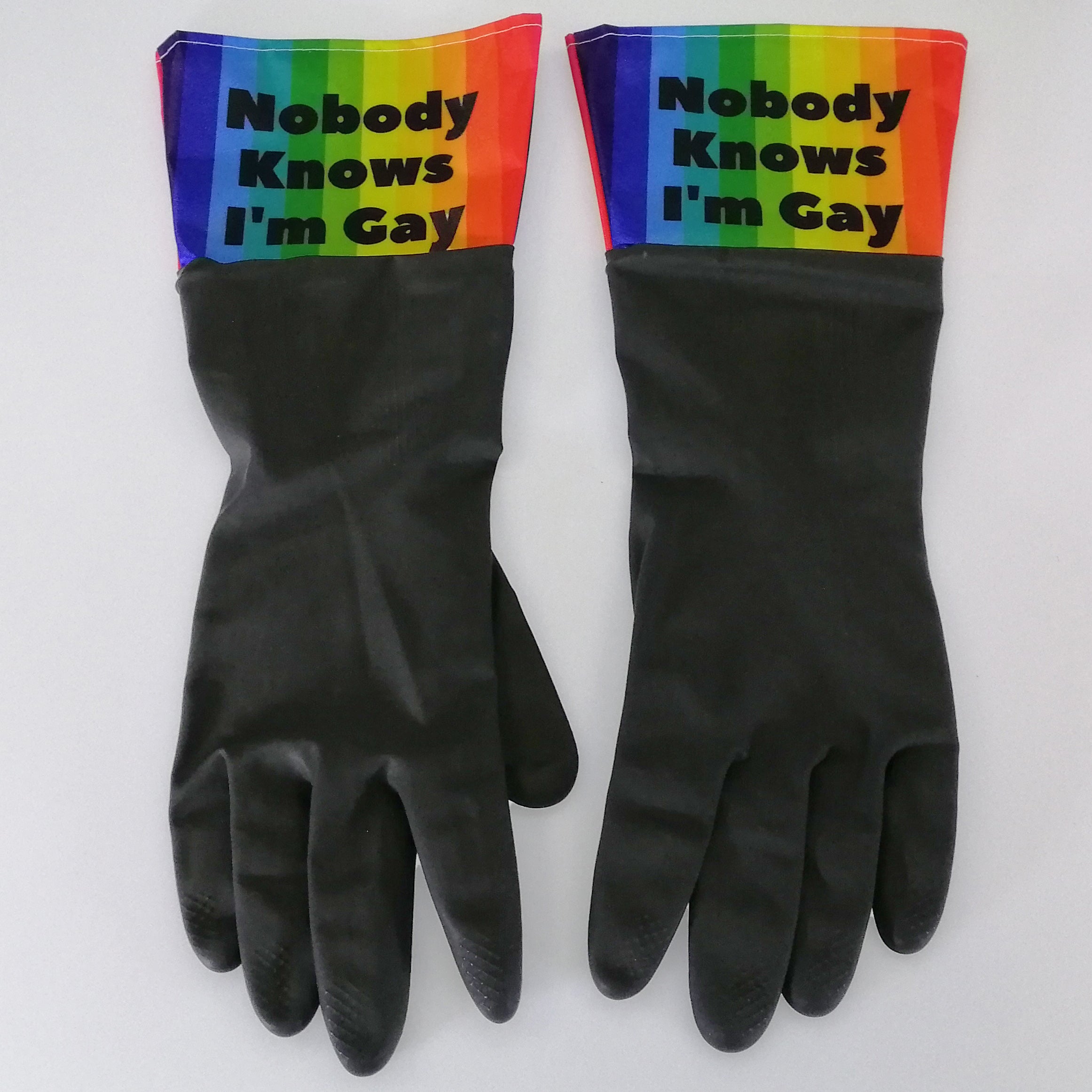 Nobody Knows I'm Gay' Dish Gloves