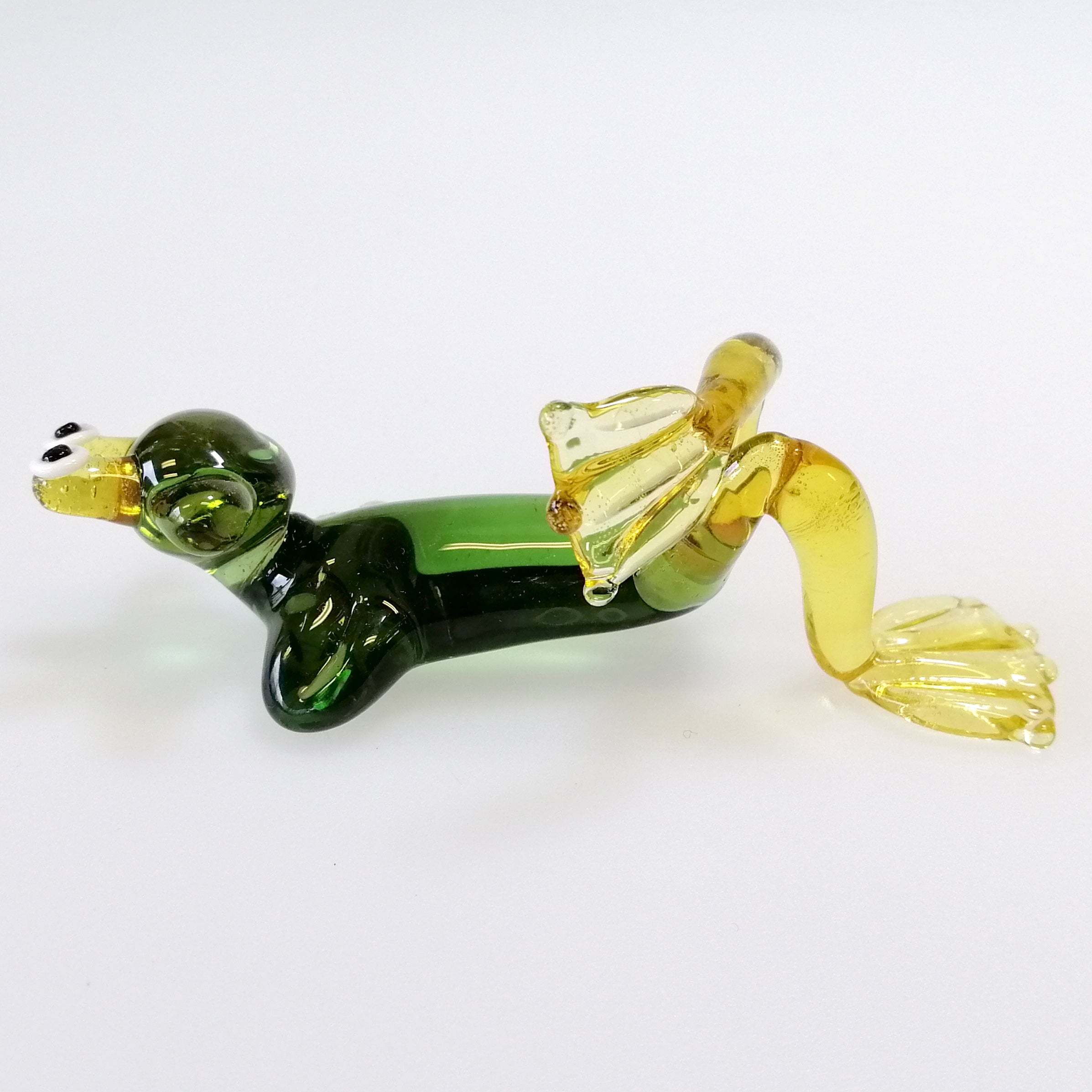 Resting Glass Frog