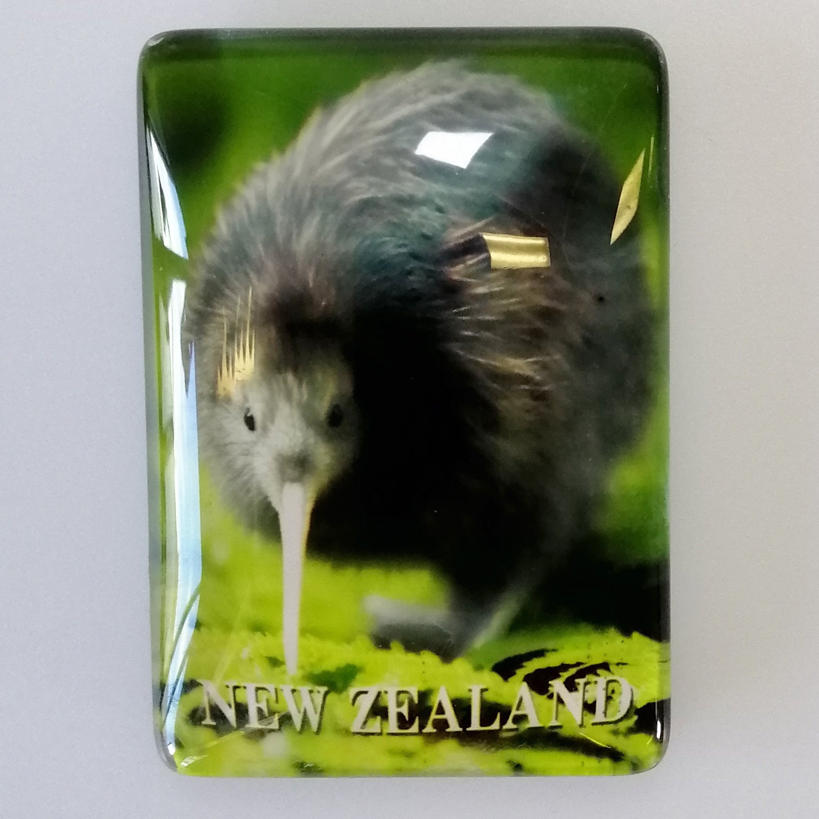 Glass Magnet - NZ Kiwi